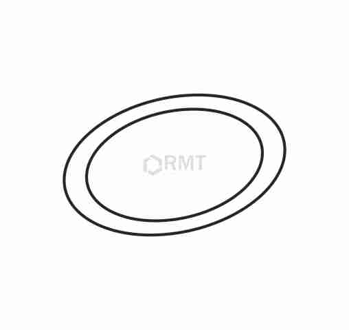 R110 317  (O-ring)